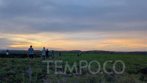 Subuh Sublim di dalam tempat Savana Tenau Pulau Sumba